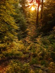 2013-07-13_Regina-F-Rau_Sonnenspitze3 (296).JPG